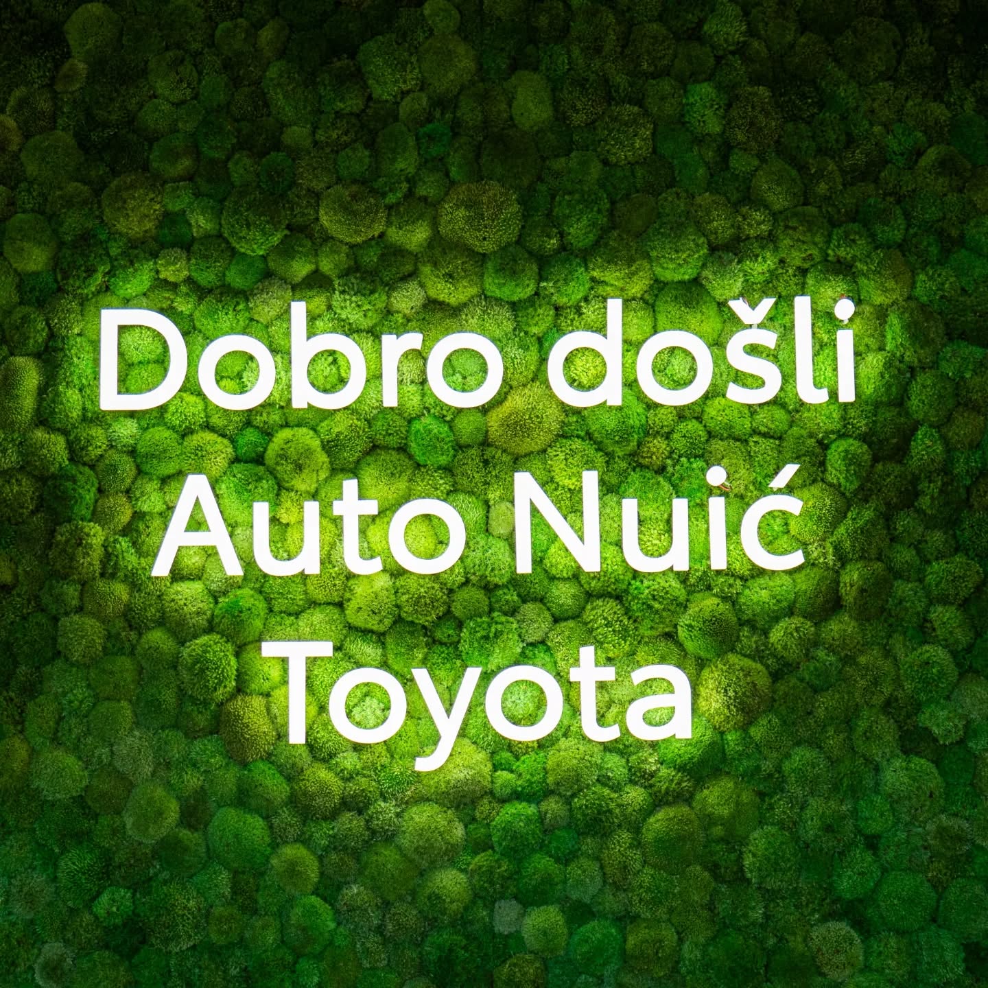 AUTO NUIĆ d.o.o.