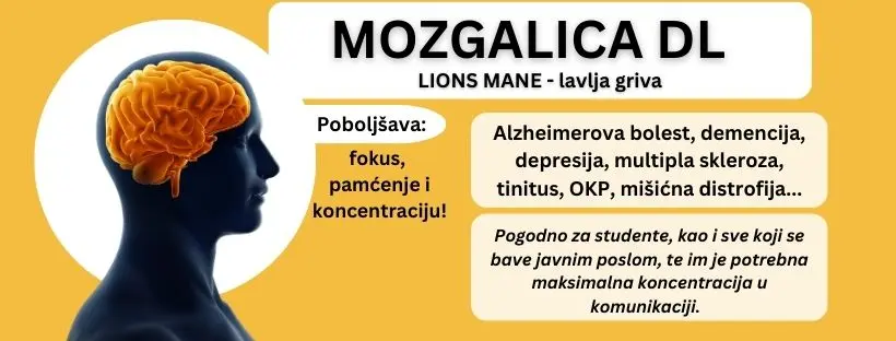 Body-držim liniju d.o.o.